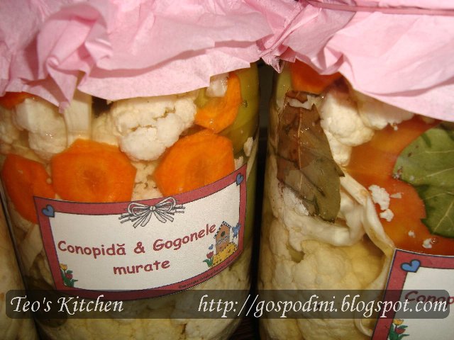 [conopida_2.JPG]