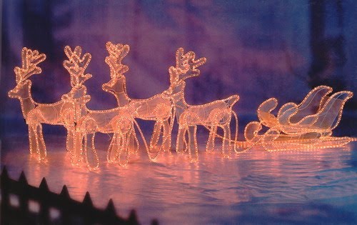 [Christmas-Light-3D-Rope-Light-Motif.jpg]