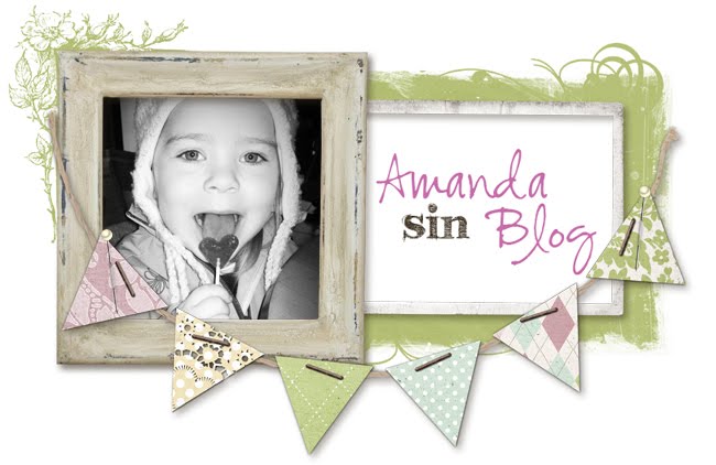 Amanda sin blog