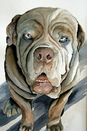 Mastiff, Skyla #1