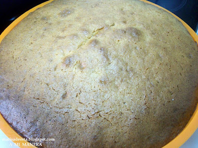 Bizcocho De Leche Condensada Y Yogurt
