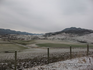 [IMG_9750.JPG]