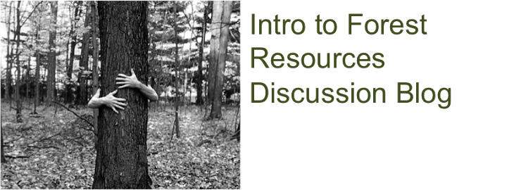 Intro to Forest Resources Discussion Blog