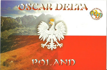 161 Division Poland