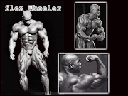 Flex Wheeler.