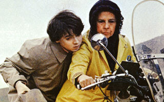 harold_and_maude.jpg