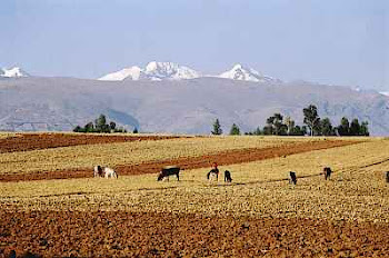 VISTA  DEL  NEVADO  DE HUAYTAPALLANA  HUANCAYO