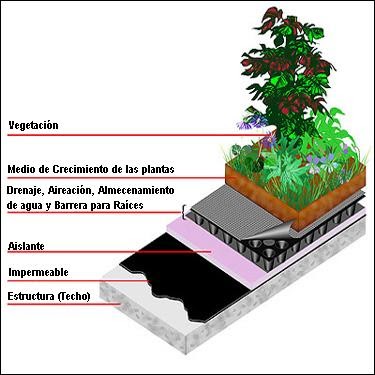 TALLER PROFESIONAL DE ARQUITECTURA: DETALLE CUBIERTA VERDE
