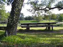 One of our many picnic areas!