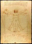 the vitruvian man