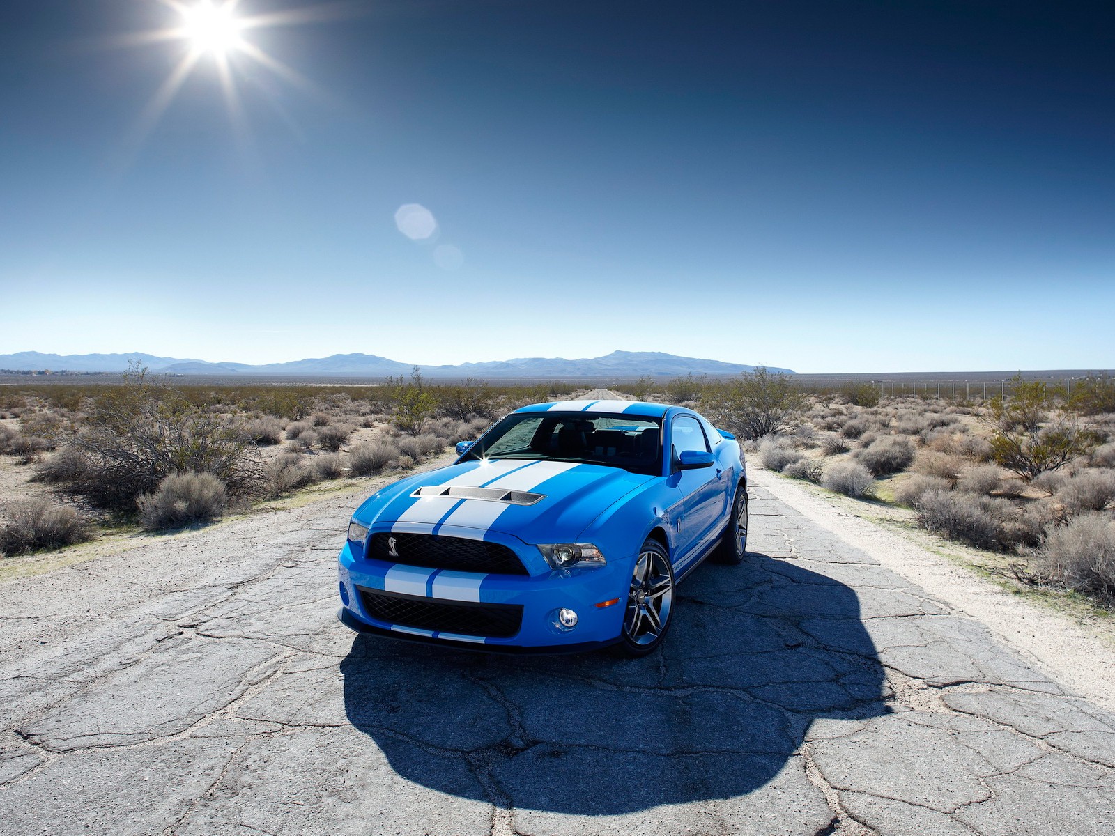 http://2.bp.blogspot.com/_gPeq-uTqpJQ/TTgtWt9z26I/AAAAAAAAABY/UoLyqkNfVSQ/s1600/ford-shelby-gt500-2010-01.jpg