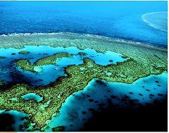 Great Barrier Reef Australia!