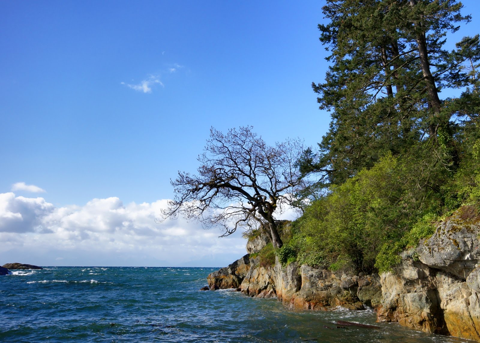 Saxe Point