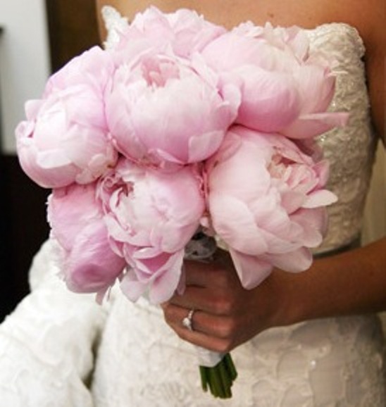 Love Peplums And Cupcakes Peonies Hydrangeas And Garden Roses
