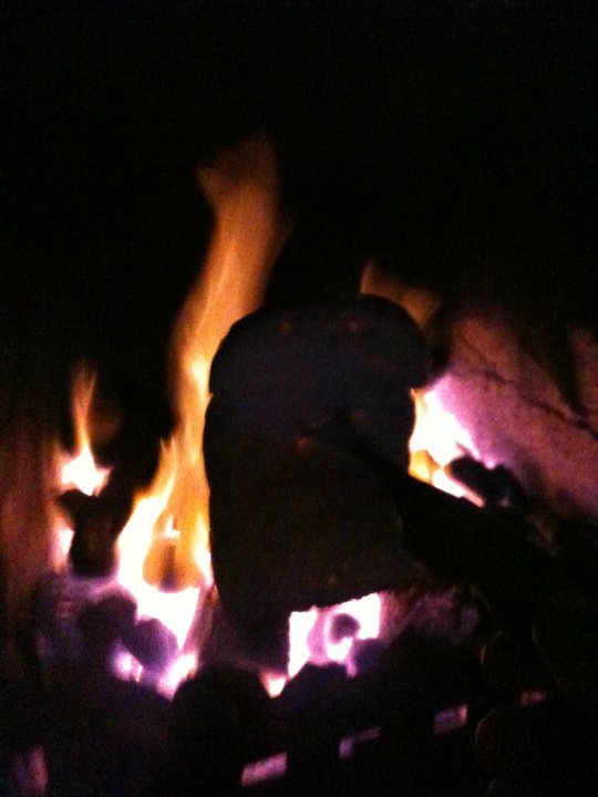 The Project 366 Things Thing 236 Toast Bread on the Fire