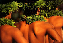 Imagens do livro "The Art of Hula"