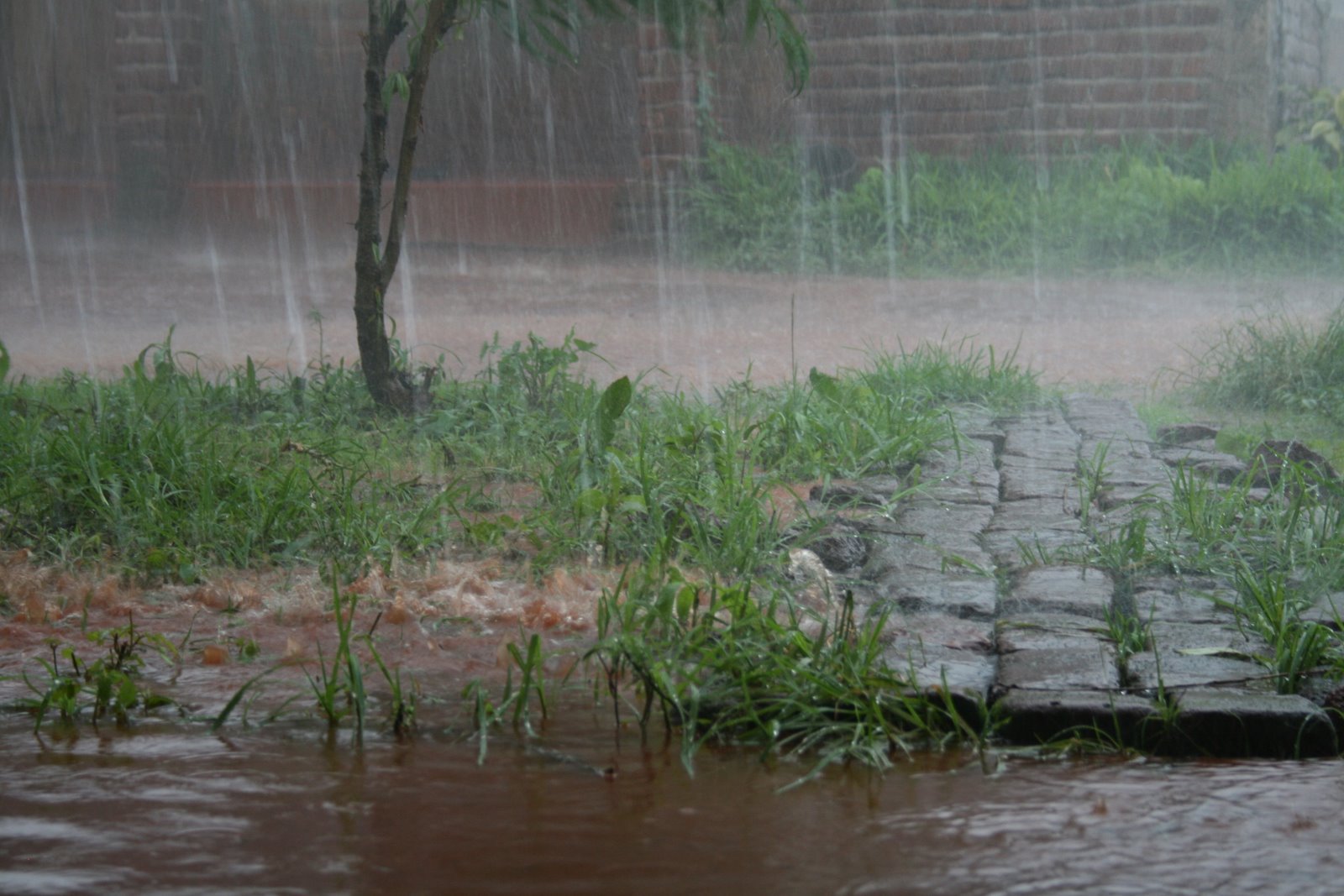 Amazoncom: The Simple Life: Season 2 - Road Trip: Paris