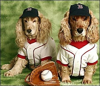 [Red+Sox+Fans.bmp]