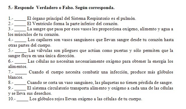 preguntas y respuestas verdadero o falso sistema circulatorio actividad verdadero o falso preguntas y respuestas verdadero o falso sistema circulatorio actividad verdadero o falso