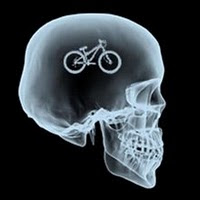 RADIOGRAFIA DE UN BIKER.