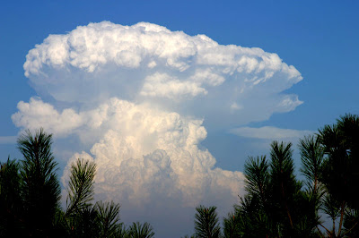Mushroom Clouds