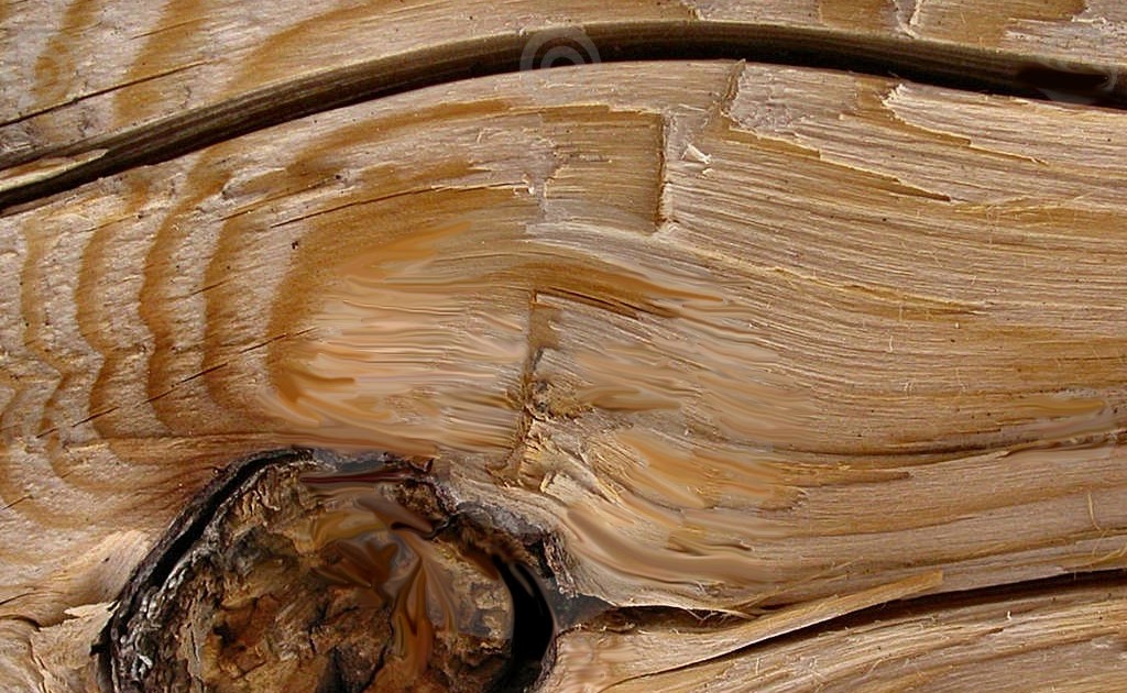 Madera y Negro: Por que Madera y Negro...