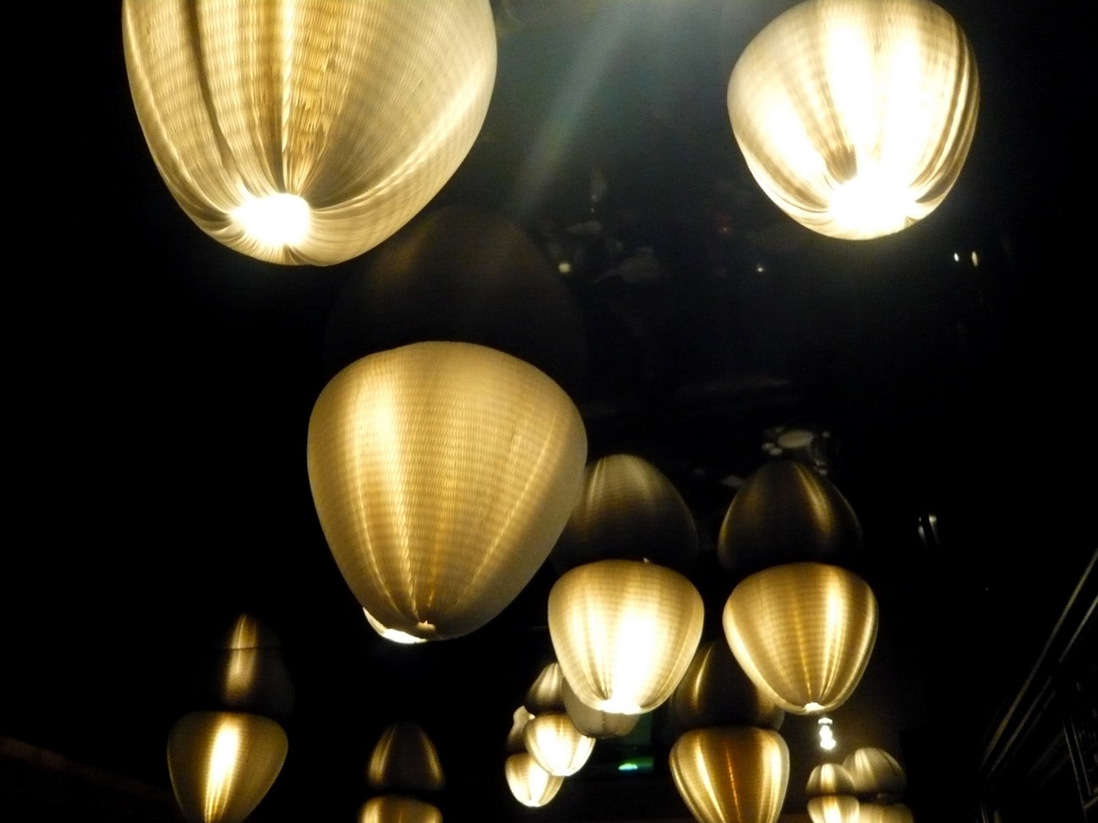 [L1050406.JPG]