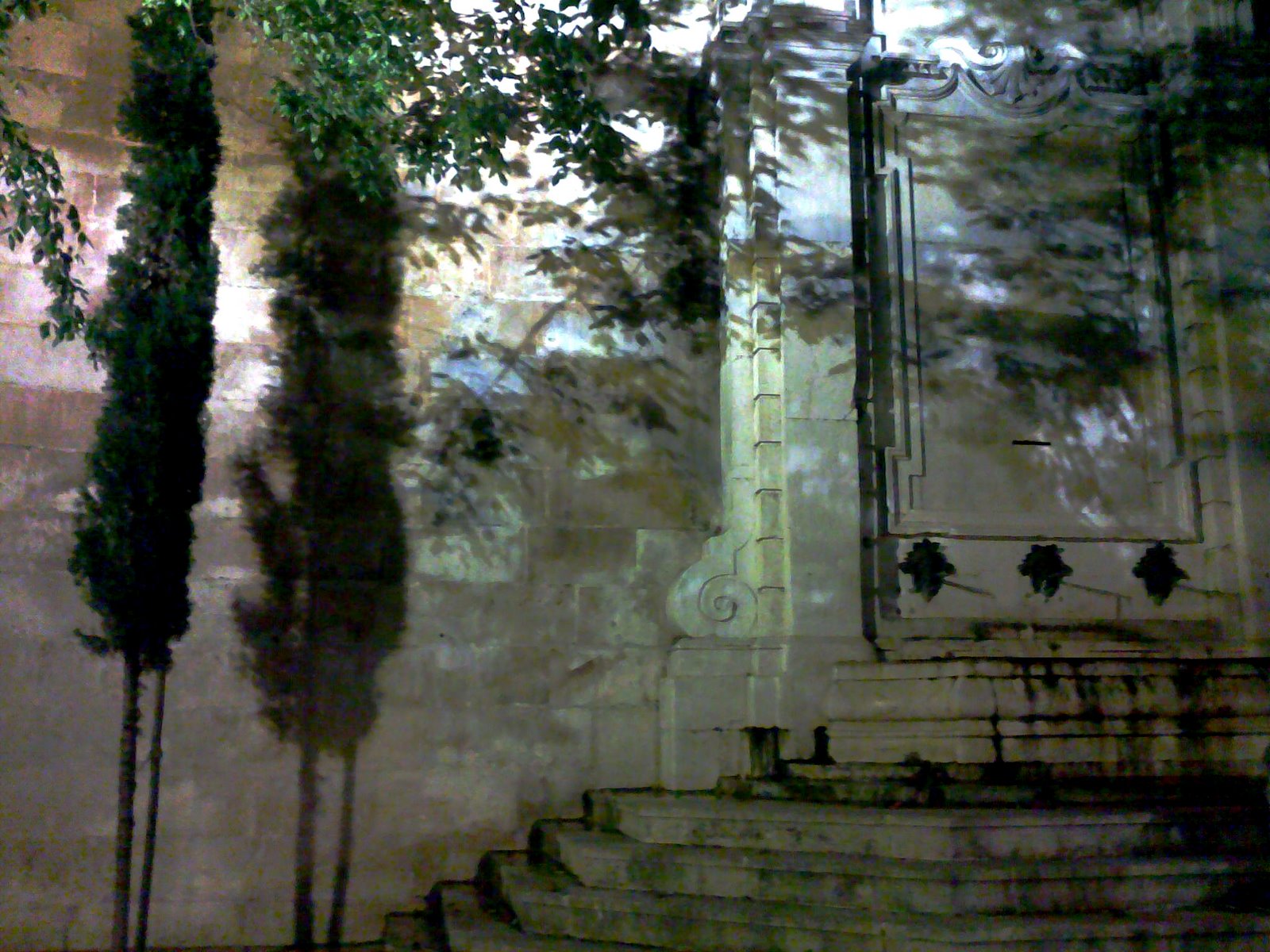 [28052009033.jpg]