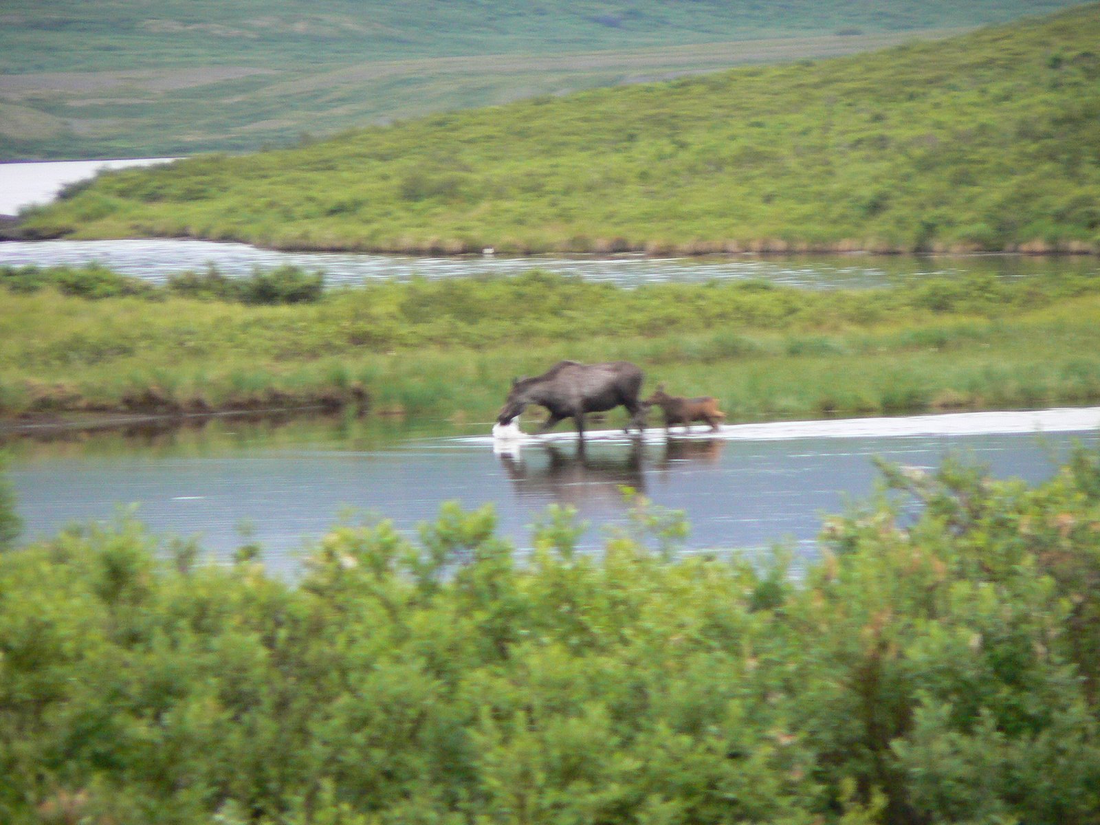 The Comings And Goings Of A Northern Kiwi Fielding Lake Camping