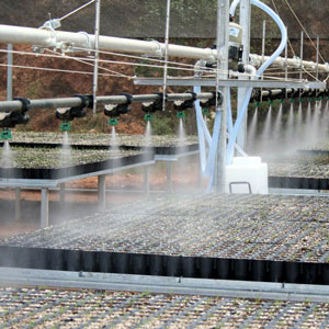 viveroenelcecyt1: Viveros en el cecyt 1