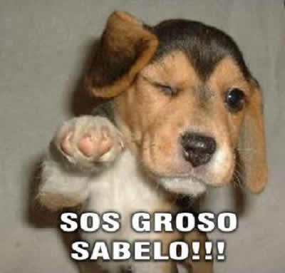 SABADO 30 DE JULIO DE 2011 POR FAVOR DEJEN SUS MJES. DIARIOS AQUÍ. GRACIAS!! Groso