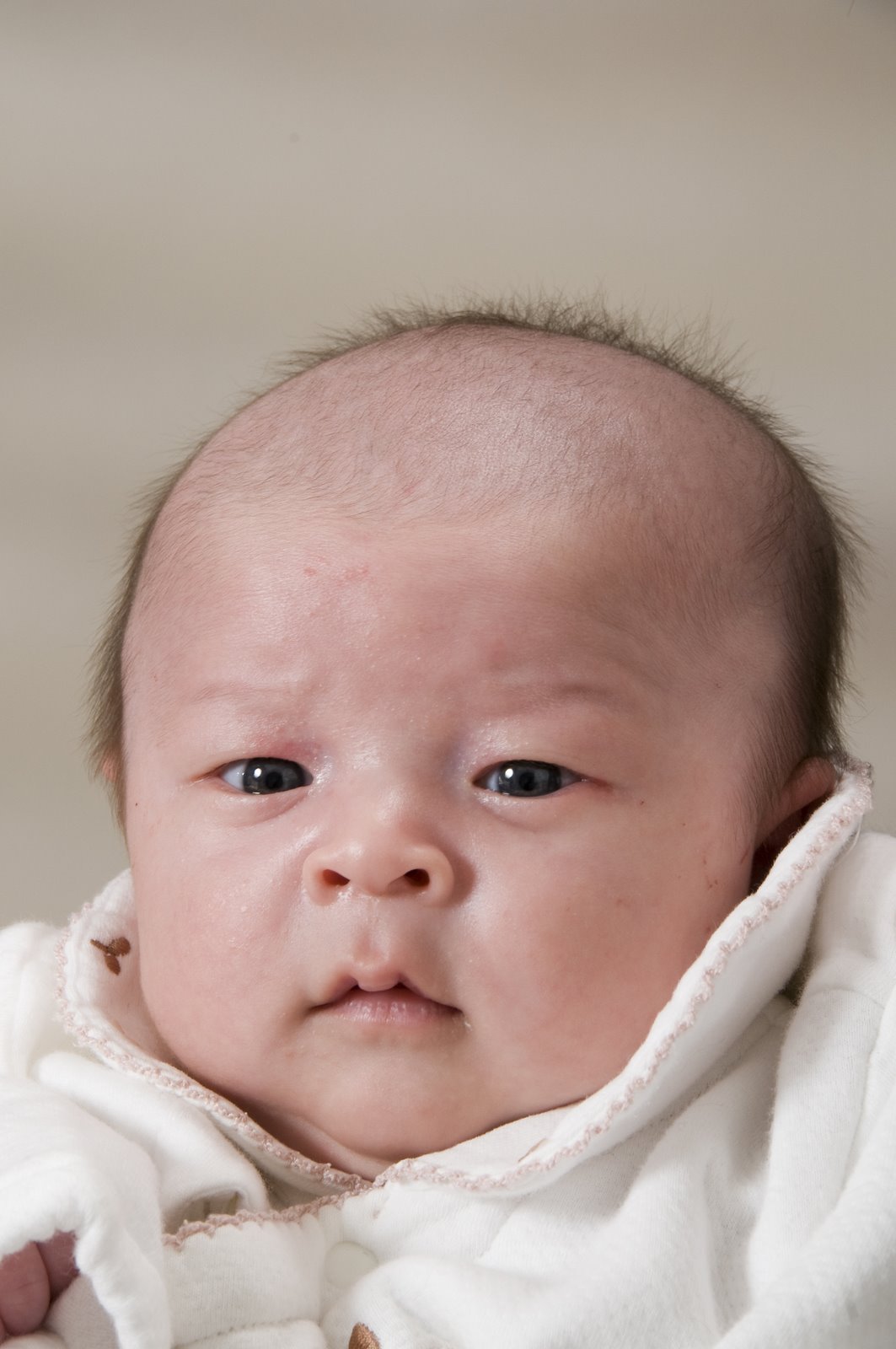 [深川七五三_157A.jpg]