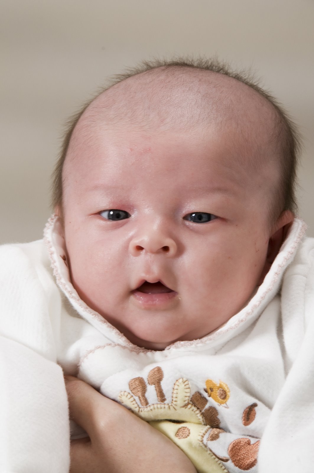 [深川七五三_160A.jpg]