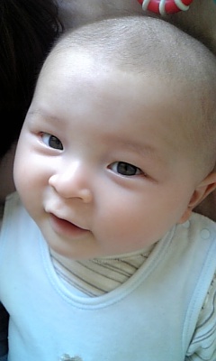 [hibibibibibibi.jpg]