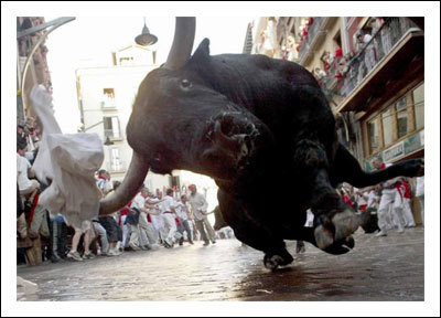 [Touro-0.jpg]