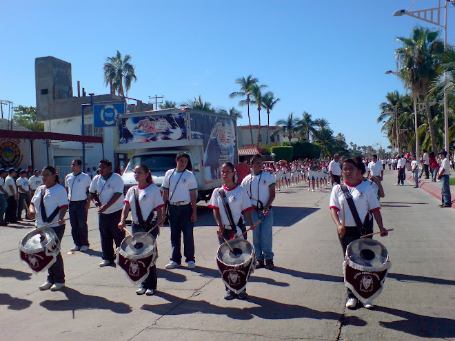 DESFILE 20 NOV 08