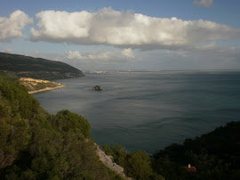 Bem vindo ao Grupo BTT Golfinhos do Sado