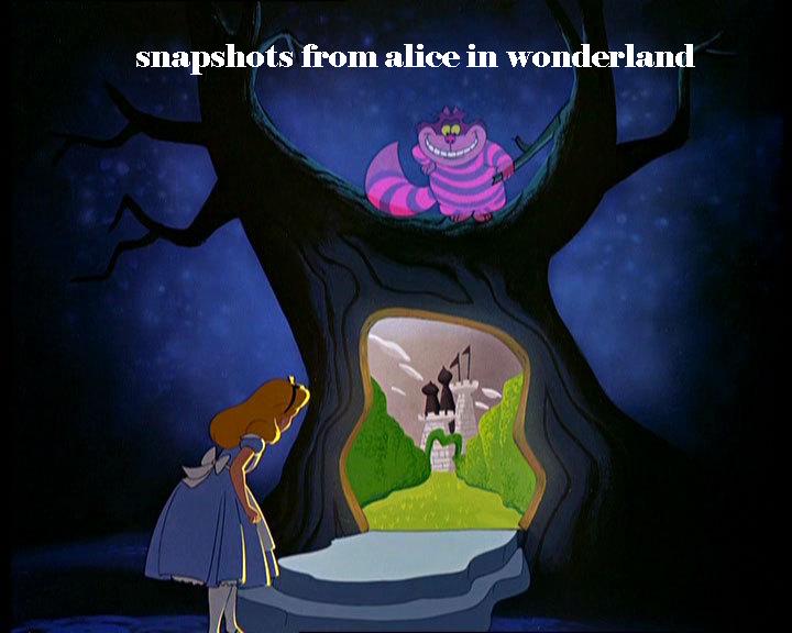 Snapshots from Alice in wonderland