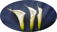 cloisonne flower lilies
