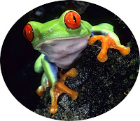 cloisonne frog