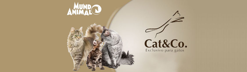 Cat&Co