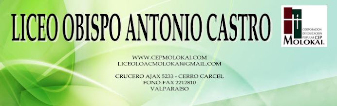 LICEO OBISPO ANTONIO CASTRO