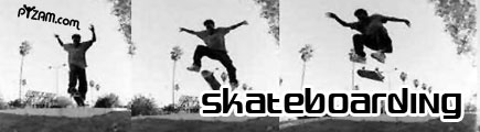 skate and bodyboard
