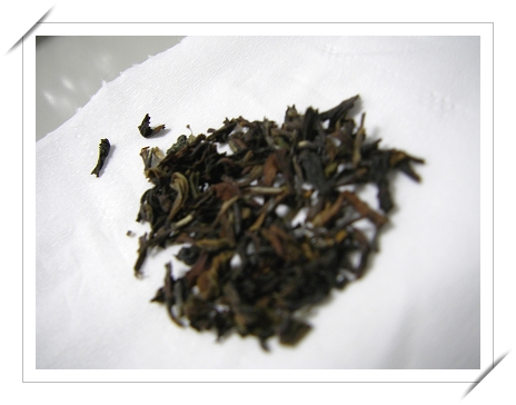 [å¤§å  å¶º+tea.jpg]