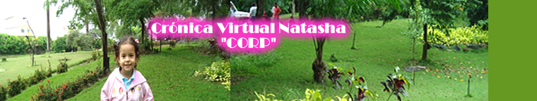 Crónica Virtual Natasha "CORP"