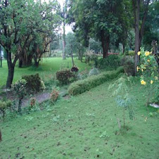 El jardín