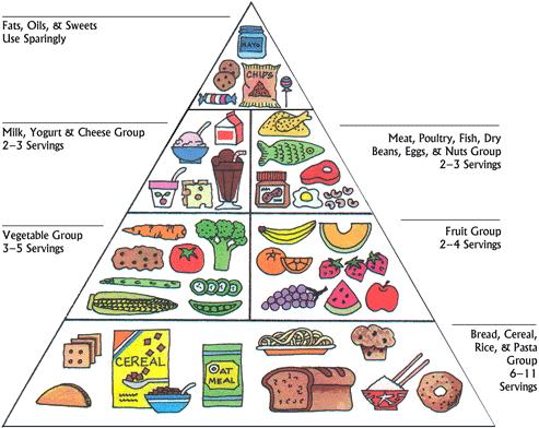 Diabetes+australia+making+healthy+food+choices
