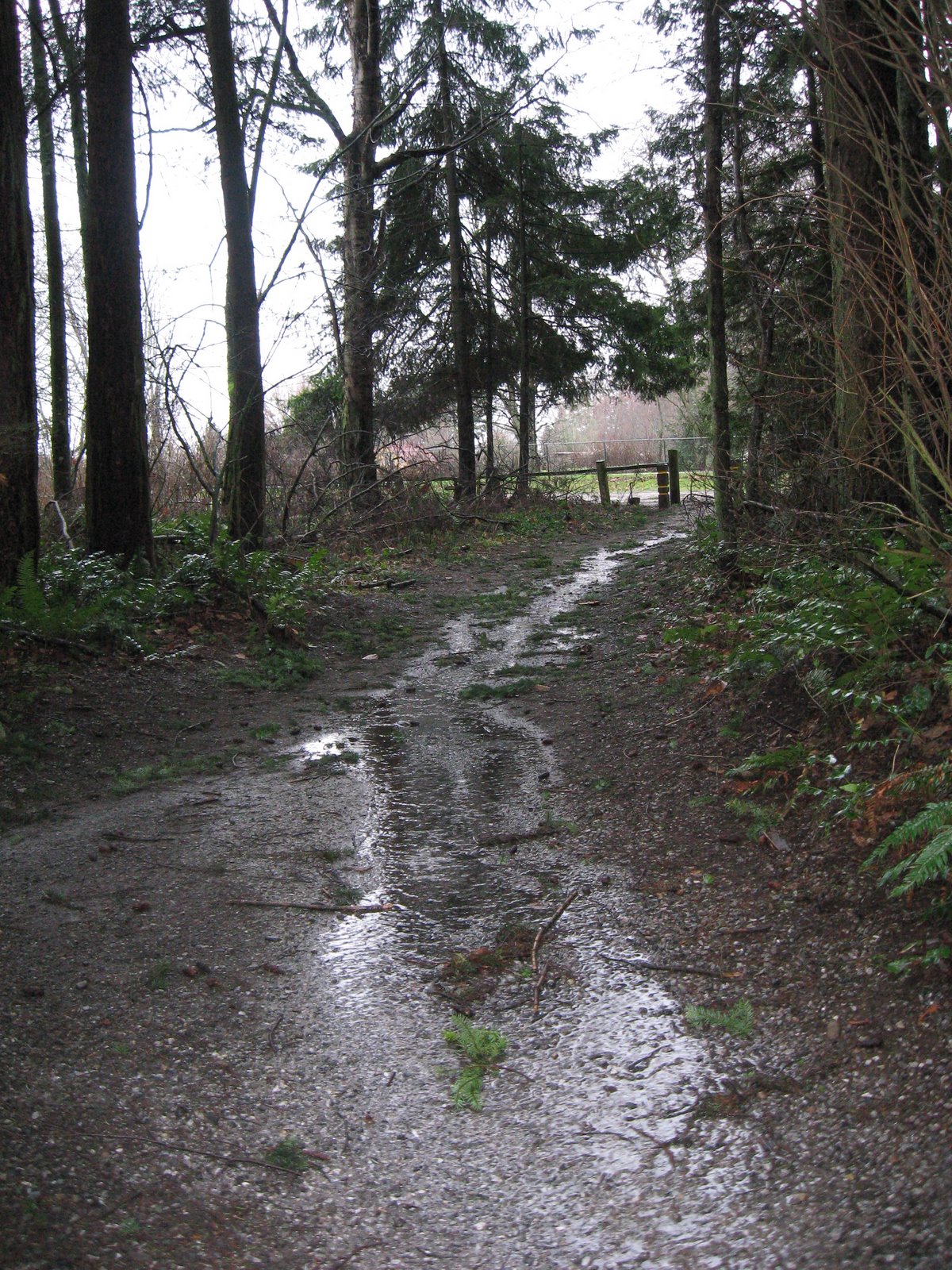 [IMG_1453.JPG]