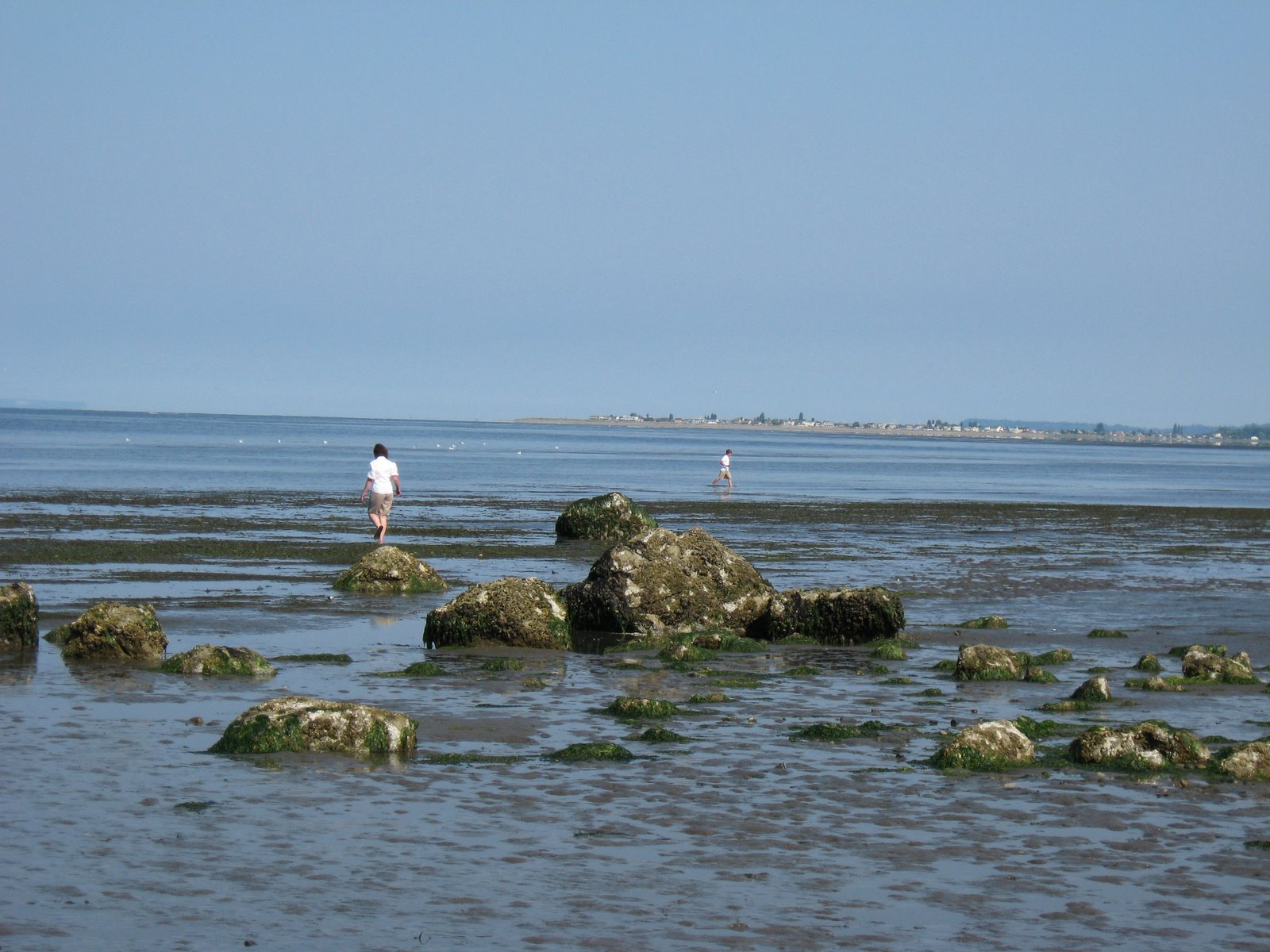 [IMG_3469.JPG]