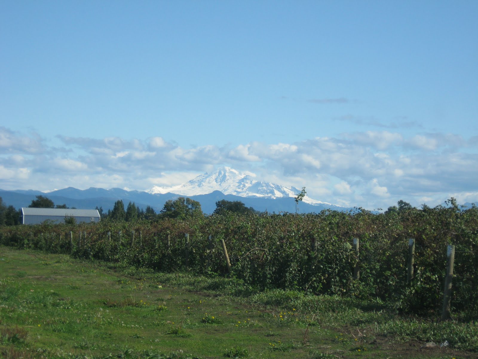 [IMG_4156.JPG]